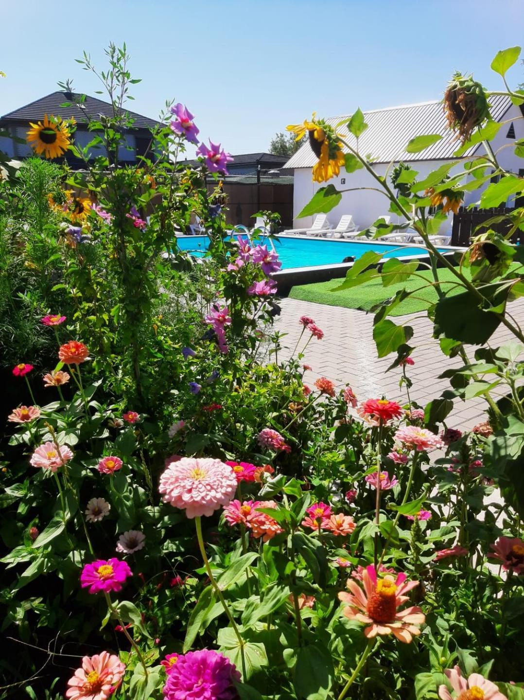 Malibu Guest House Kapchagay Luaran gambar